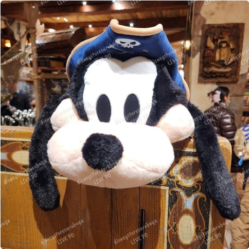 [1/7/2025-12:46-590] Fun Cap Goofy Pirates 