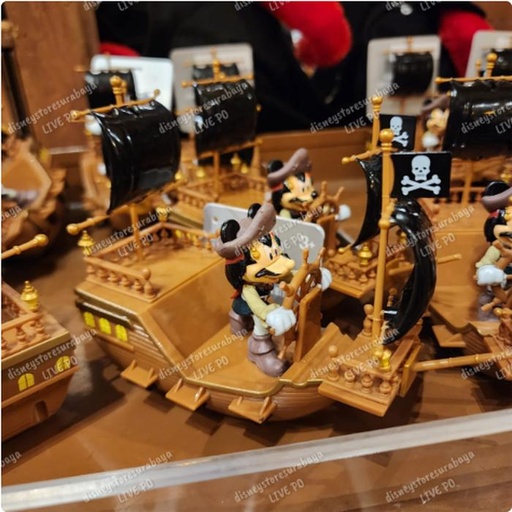 [1/7/2025-13:02-320] Pullback Mickey Pirates 