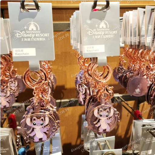 [1/7/2025-16:18-280] Keychain Angel 