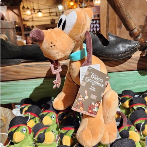 [1/8/2025-08:58-620] Plush Pluto Exclusive Pirates 