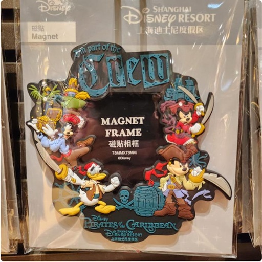 [1/8/2025-09:22-280] Magnet Frame Pirates