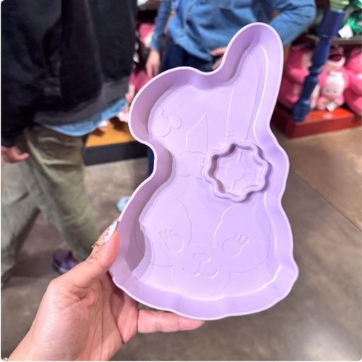 [1/8/2025-09:51-230] Stella's Melamine Plush 