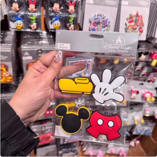 [1/8/2025-09:56-200] Mickey Magnet