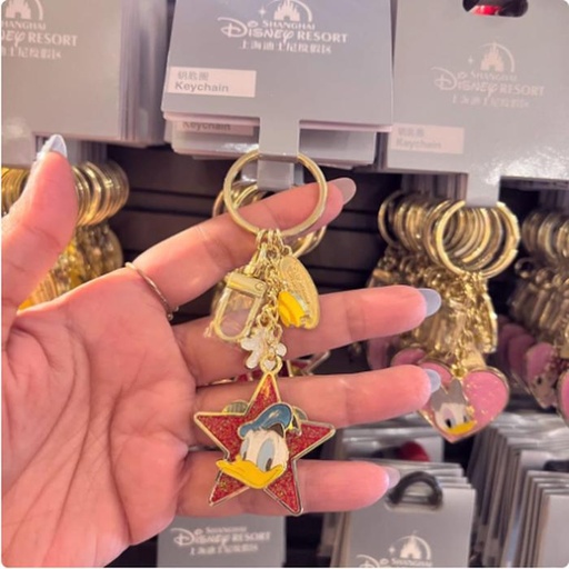 [1/8/2025-10:01-210] Keychain Love Donald