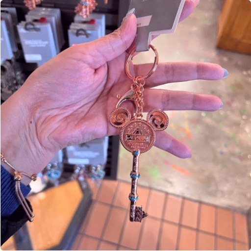 [1/8/2025-10:02-270] Keychain Key Forms SHDR Bronze 