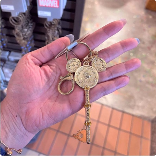 [1/8/2025-10:02-260] Keychain Key Forms SHDR Gold