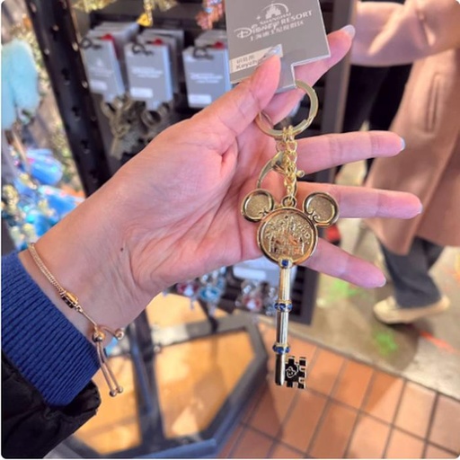 [1/8/2025-10:02-270] Keychain Key Forms SHDR Gold