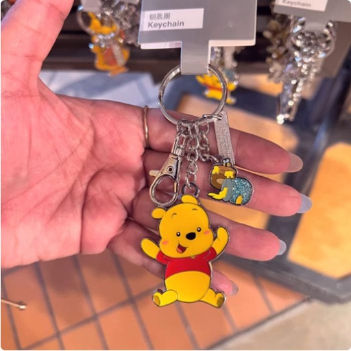 [1/8/2025-10:03-190] Keychain Shdr Pooh 