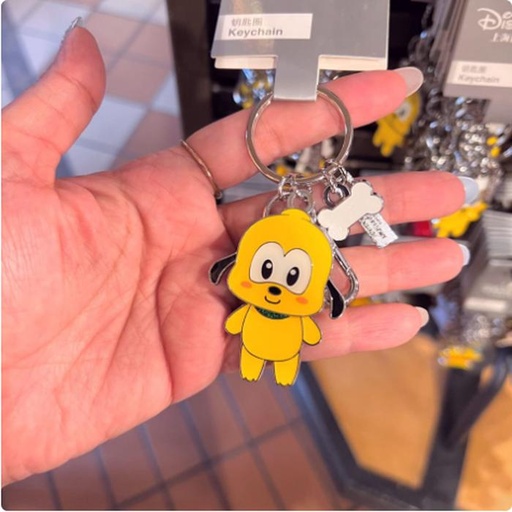 [1/8/2025-10:03-190] Keychain Shdr Pluto 