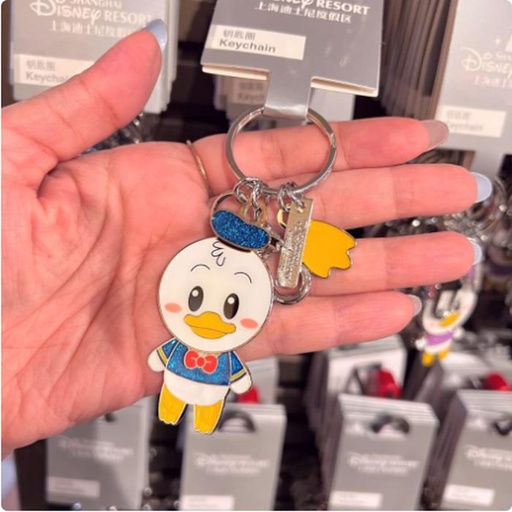 [1/8/2025-10:06-190] Keychain Shdr Donald  