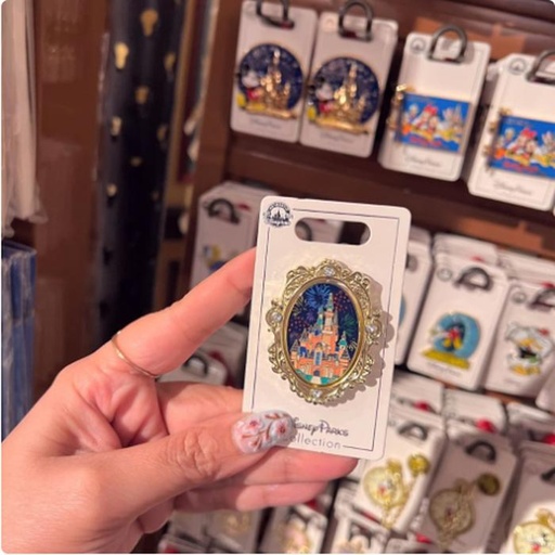 [1/8/2025-10:13-330] Pin Castle SHDR