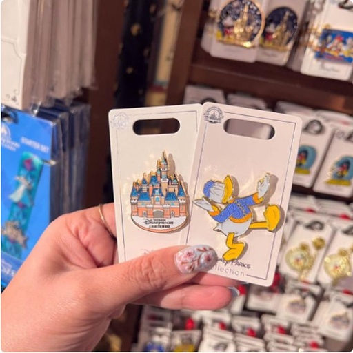 [1/8/2025-10:13-170] Pin Donald / Castle SHDR