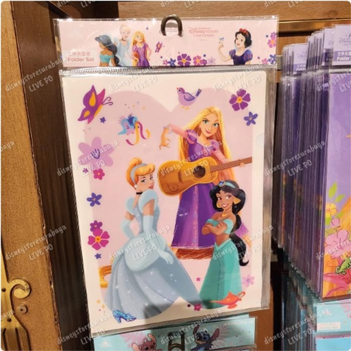 [1/9/2025-10:08-180] Folder Princess Set contents 3