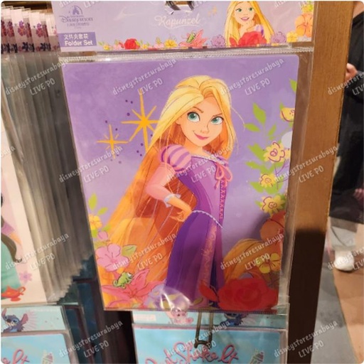 [1/9/2025-10:09-180] Folder Rapunzel Set contents 3