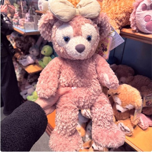 [1/16/2025-10:38-600] Plush Shelliemay size Small