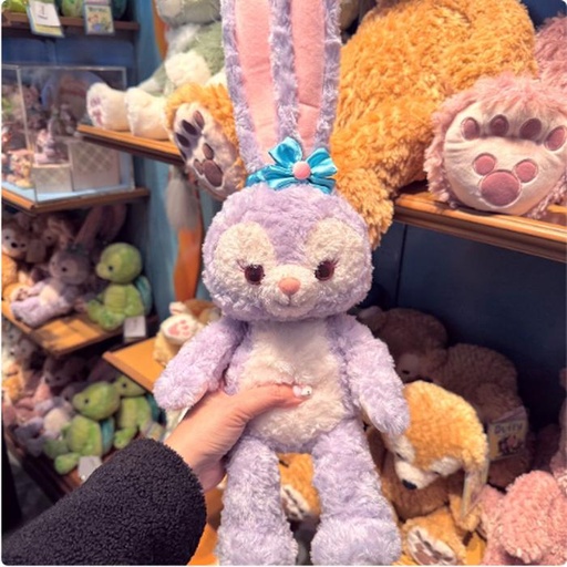 [1/16/2025-10:38-630] Plush Stella Lou Size Small