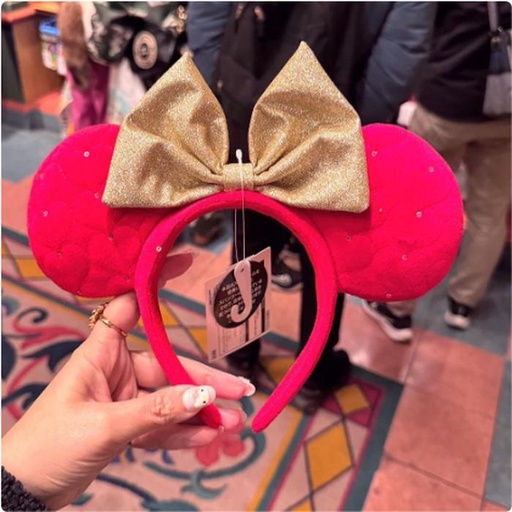 [1/16/2025-15:05-375] Red Headband
