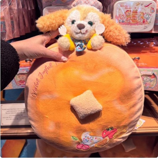 [1/17/2025-07:38-930] Cushion Duffy