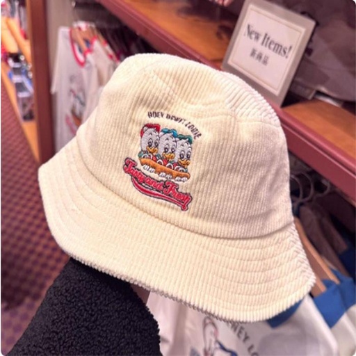 [1/17/2025-10:03-560] Donald's Nephew Hat