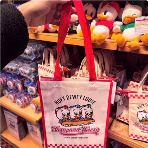 [1/17/2025-10:26-185] Donald's Niece Shopping Bag