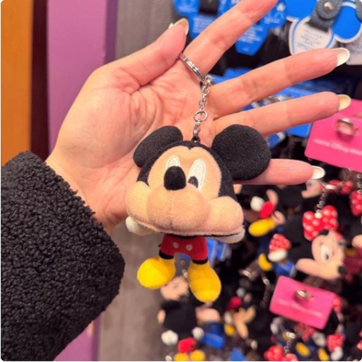[1/17/2025-15:27-235] Keychain