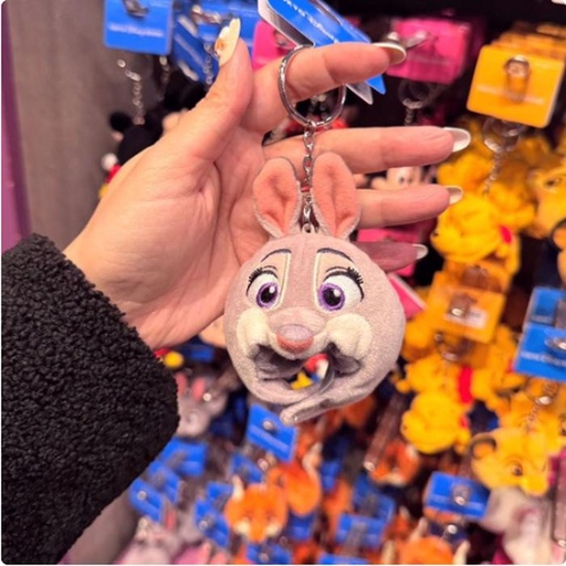 [1/17/2025-15:27-220] Keychain