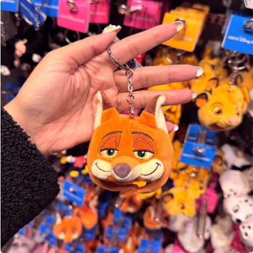 [1/17/2025-15:27-220] Keychain Nick