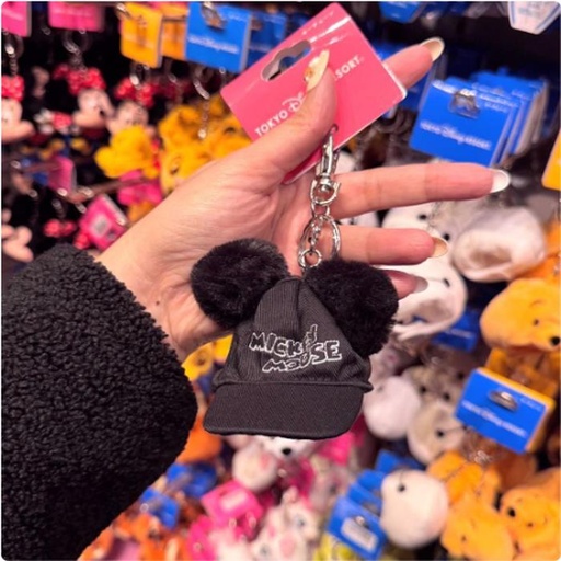 [1/17/2025-15:27-235] Keychain