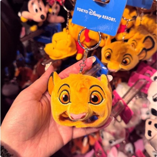 [1/17/2025-15:32-220] Keychain