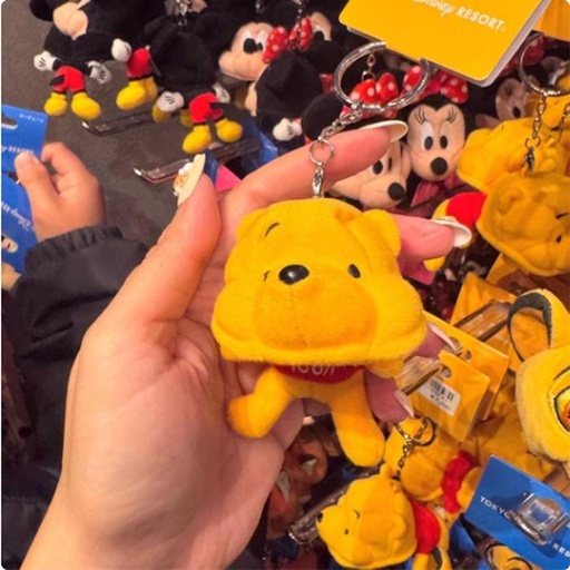 [1/17/2025-15:32-235] Keychain
