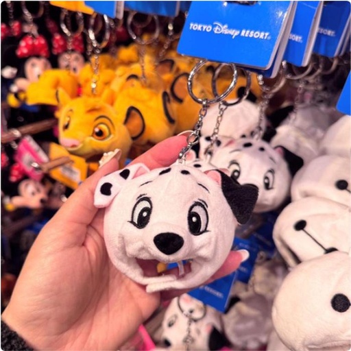 [1/17/2025-19:03-220] Keychain
