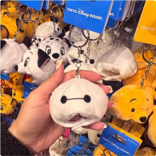 [1/17/2025-19:03-220] Keychain