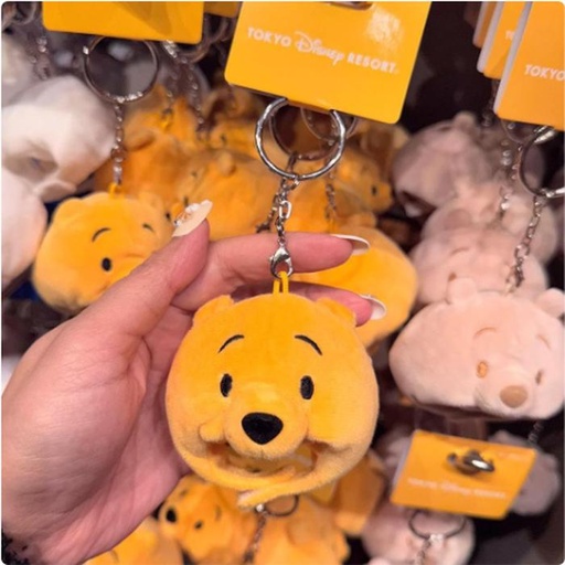 [1/17/2025-19:03-220] Keychain