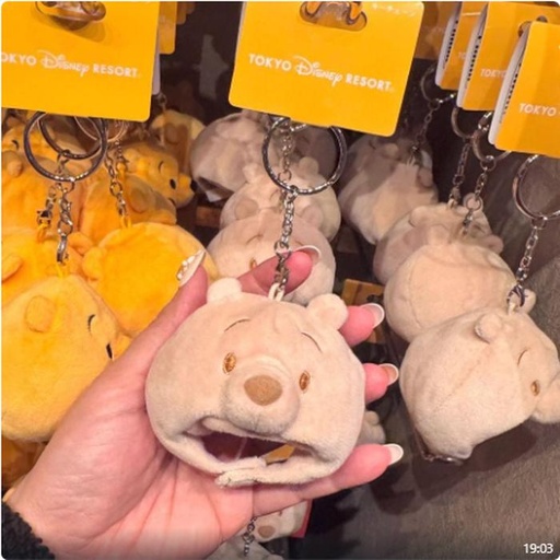 [1/17/2025-19:03-220] Keychain