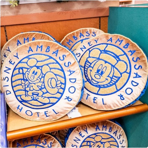 [1/17/2025-19:58-750] Cushion Ambasador Hotel (Motif back and forth)