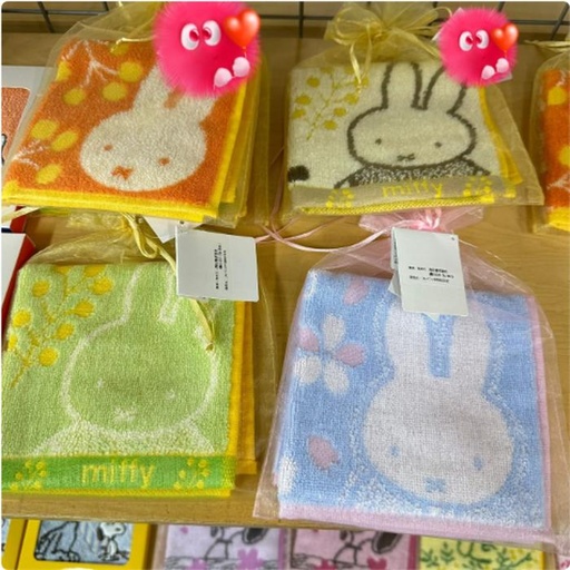 [1/25/2025-10:46-100] Minitowel Miffy