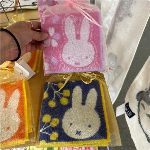 [1/25/2025-10:46-100] Minitowel Miffy