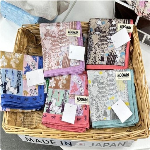 [1/25/2025-10:46-100] Handkerchief Moomin @Each