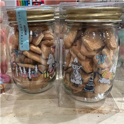 [1/25/2025-11:49-295] Moomin Cookie Jar