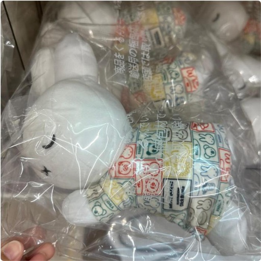 [1/25/2025-12:44-360] Plush Miffy Sleep