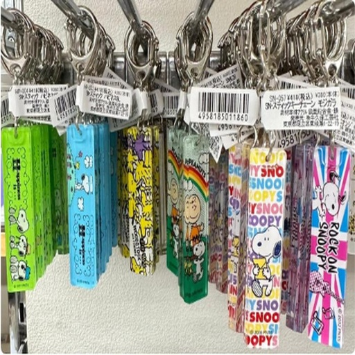 [1/25/2025-12:59-None65] Keychain Snoopy @each