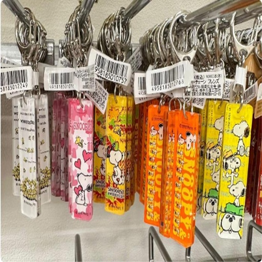 [1/25/2025-12:59-None65] Keychain Snoopy @each