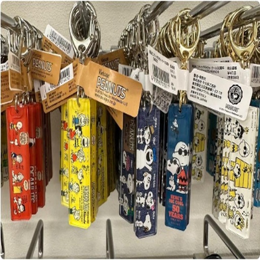 [1/25/2025-12:59-None65] Keychain Snoopy @each