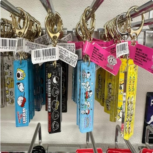 [1/25/2025-12:59-None65] Keychain Snoopy @each