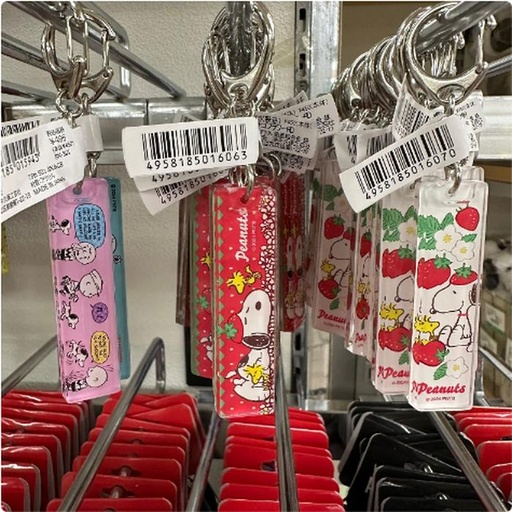 [1/25/2025-12:59-None75] Keychain Snoopy @each