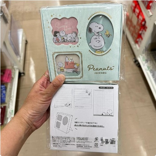 [1/25/2025-13:19-195] Memo Snoopy Box Green, it can be use like frame