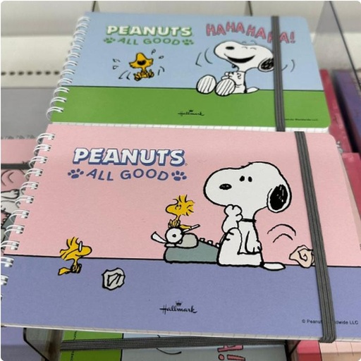 [1/25/2025-13:32-110] Snoopy Notes Hallmark @each