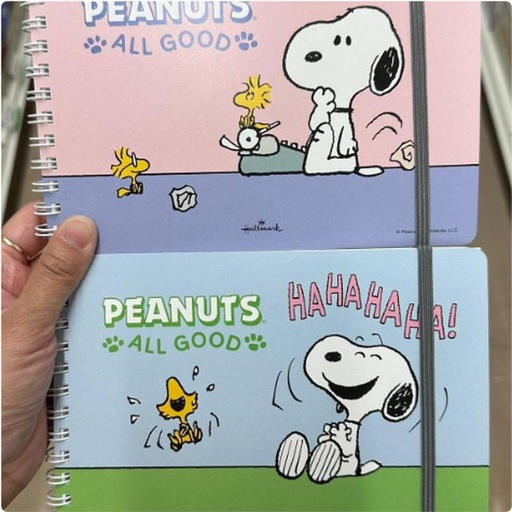 [1/25/2025-13:32-110] Snoopy Notes Hallmark @each
