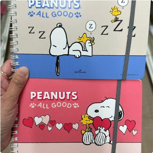 [1/25/2025-13:32-110] Snoopy Notes Hallmark @each