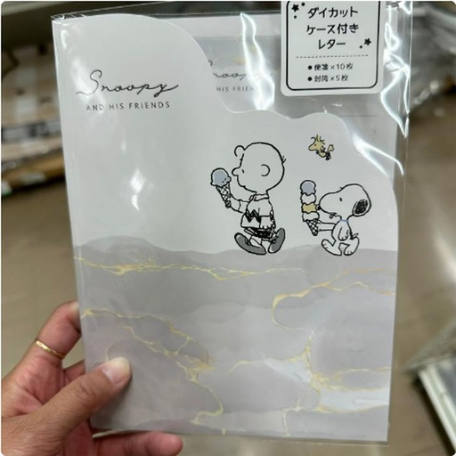 [1/25/2025-13:45-100] Snoopy Letter set